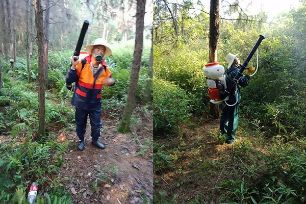 �˹���������