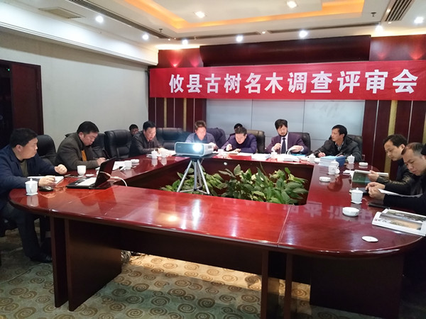 �����ֳ�