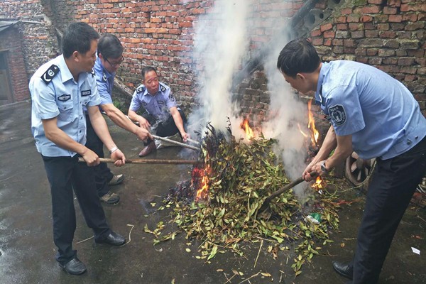 ִ����Ա����������