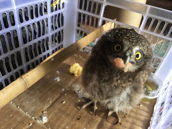 ������ʳ��Ķ̶��^